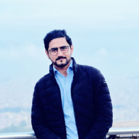 Syed Ali Mehdi